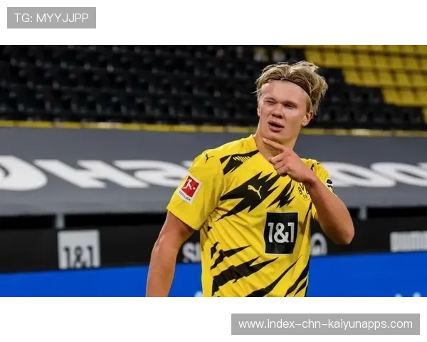 哈兰德私底下喜欢画画？画作曝光引好奇